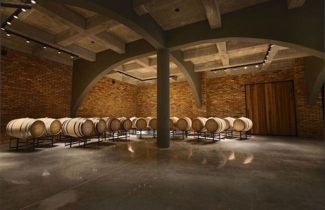 Tour del vino nel Vale dos Vinhedos - Foto 4