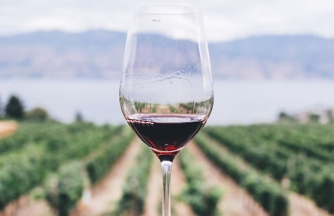 Tour del vino nel Vale dos Vinhedos - Foto 10