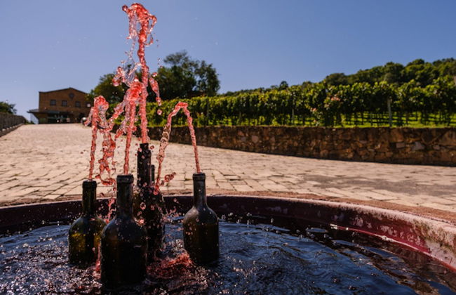 Tour del vino nel Vale dos Vinhedos - Foto 2