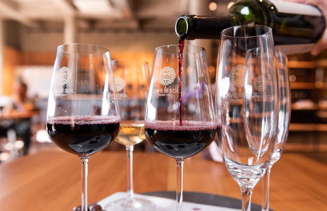 Tour del vino nel Vale dos Vinhedos - Foto 9