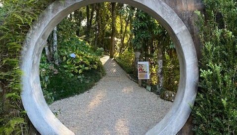 Tour pelo Parque Amantikir - Foto 3