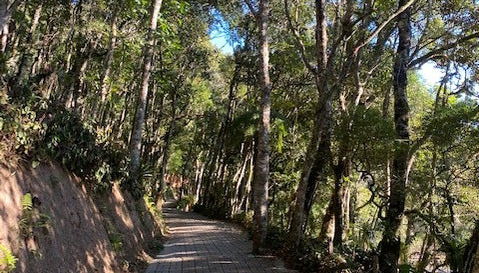 Tour pelo Parque Amantikir - Foto 2
