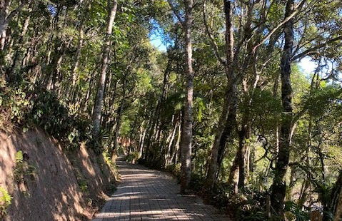 Tour pelo Parque Amantikir - Foto 2