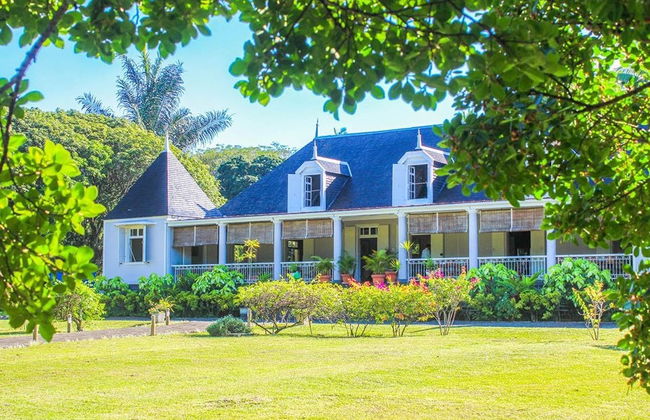 Tour privado del té por Isla Mauricio - Foto 7