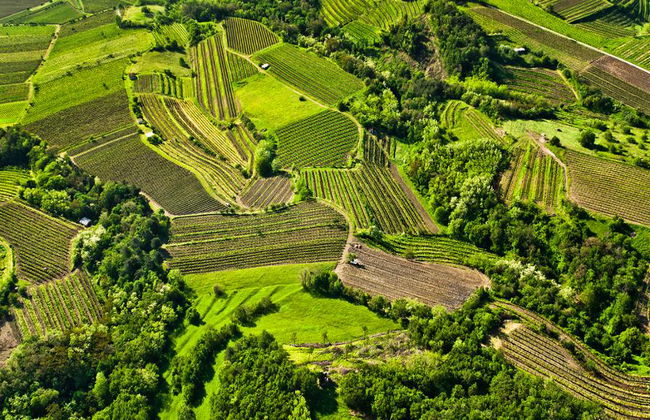 Visit Vipava Valley - Half-Day Private Tour - Foto 1