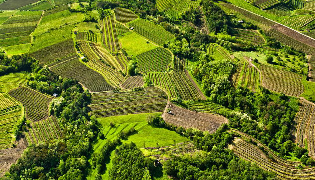 Visit Vipava Valley - Half-Day Private Tour - Foto 1