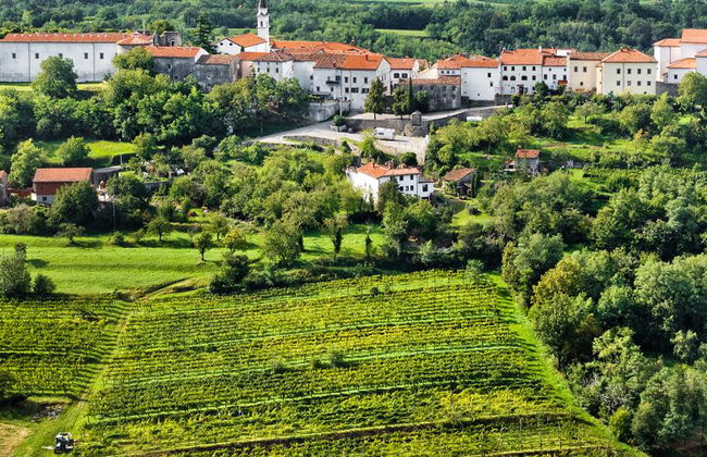 Visit Vipava Valley - Half-Day Private Tour - Foto 2