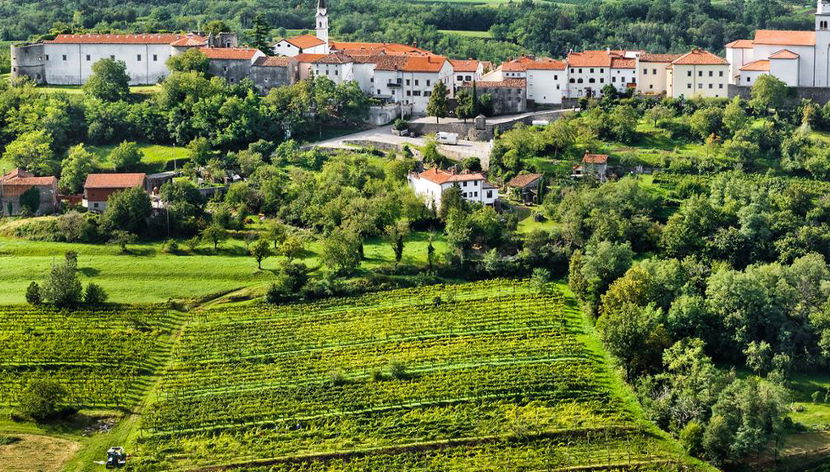Visit Vipava Valley - Half-Day Private Tour - Foto 2