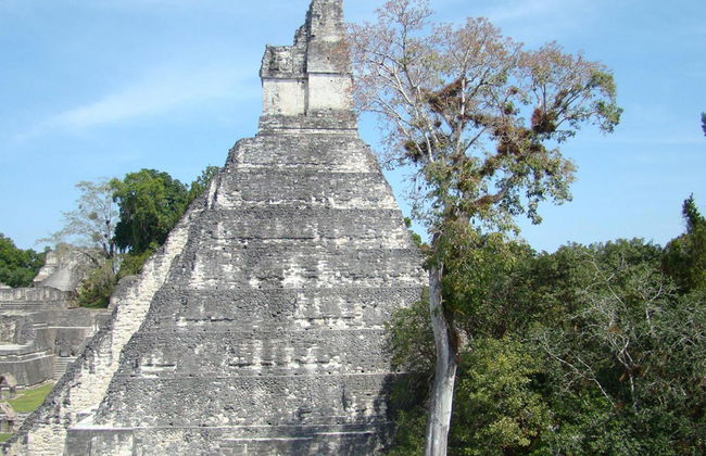 Tikal National Park von Guatemala-Stadt - Foto 6
