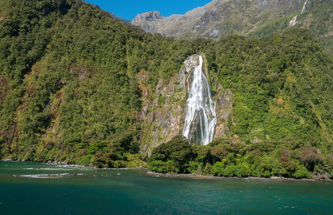 Milford Sound Excursion - Photo 6