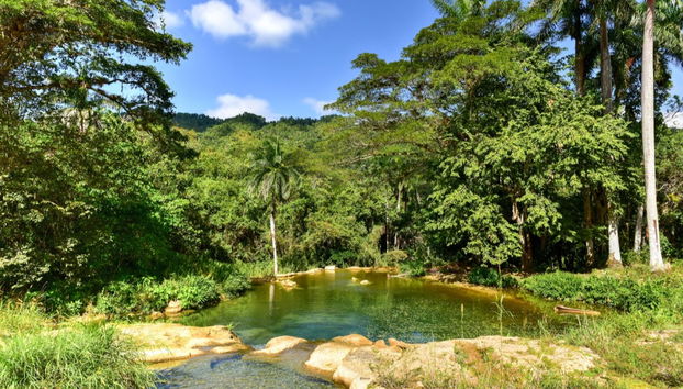 Topes de Collantes Tour - Foto 4