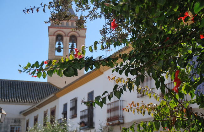 Free tour por Marchena - Foto 1
