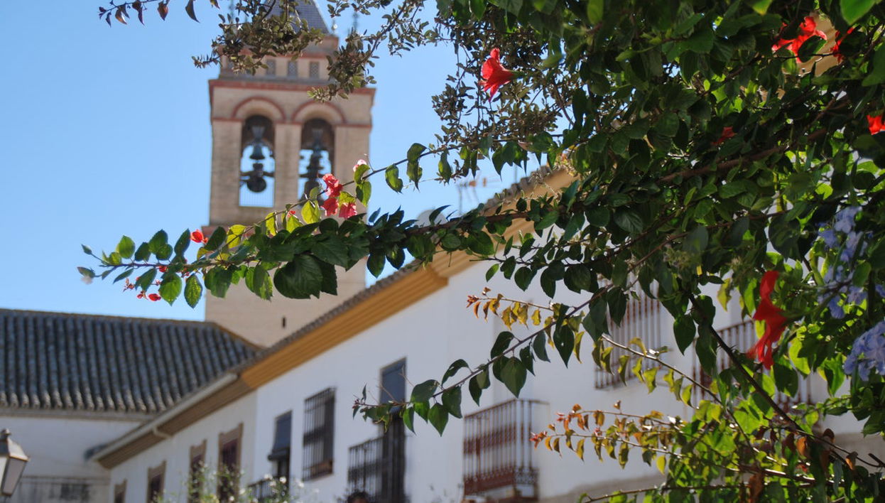 Free tour por Marchena - Foto 1