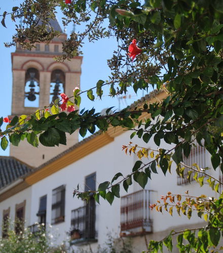 Foto de Free tour por Marchena