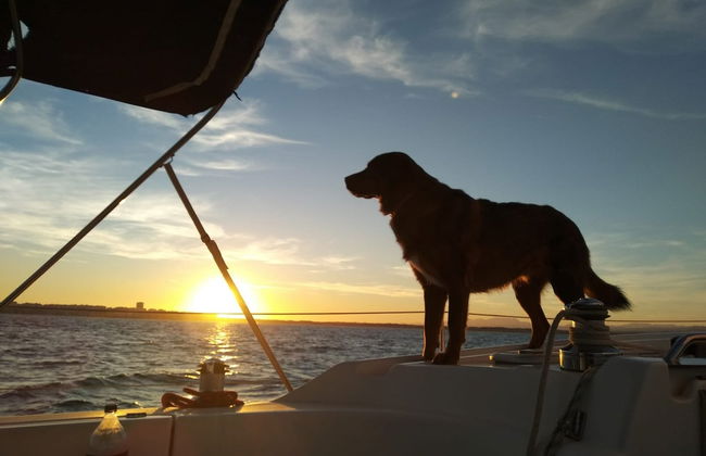 Paseo en velero por Alicante - Foto 4