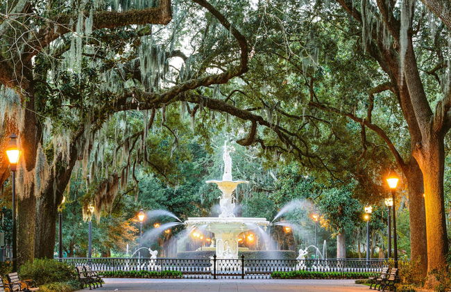 Visite de Savannah - Photo 5