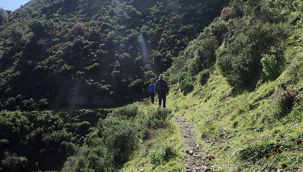 Tour en 4x4 por el Parque Nacional Sierra de las Nieves - Foto 5