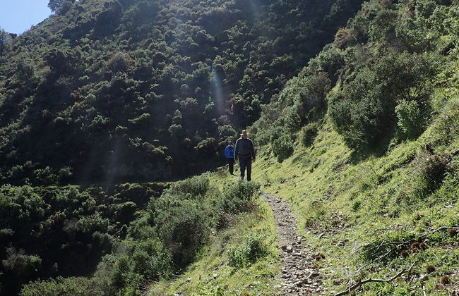 Tour en 4x4 por el Parque Nacional Sierra de las Nieves - Foto 5