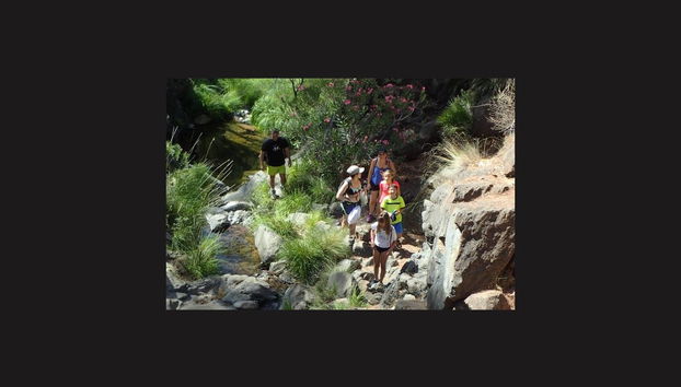 Senderismo por el Parque Nacional Sierra de las Nieves - Foto 4