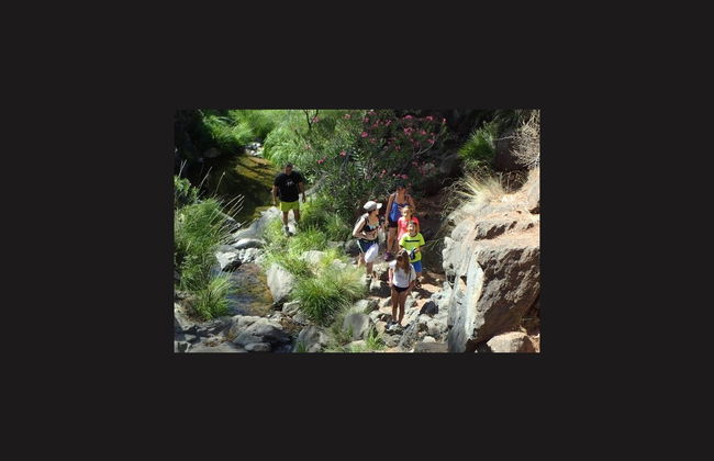 Senderismo por el Parque Nacional Sierra de las Nieves - Foto 4