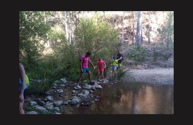 Senderismo por el Parque Nacional Sierra de las Nieves - Foto 3