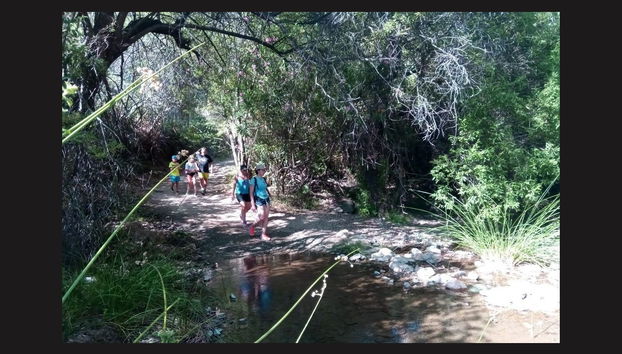 Senderismo por el Parque Nacional Sierra de las Nieves - Foto 5