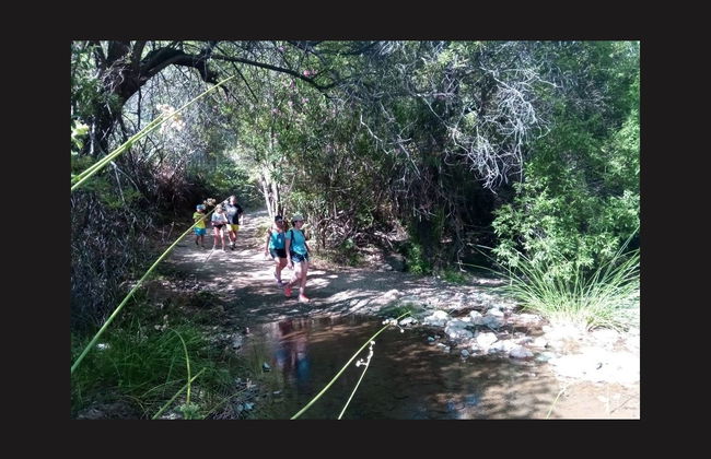 Senderismo por el Parque Nacional Sierra de las Nieves - Foto 5