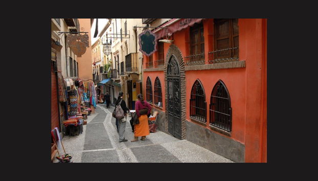 Excursion à Grenade avec visite de l'Alhambra - Photo 5