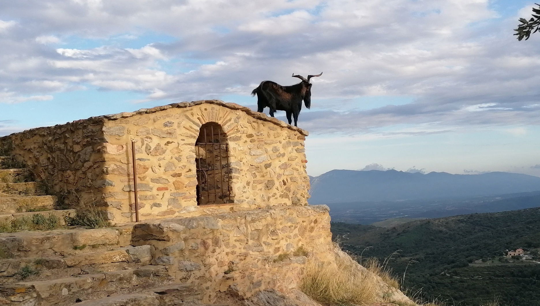 Tour in Espira-de-l'Agly - Photo 1