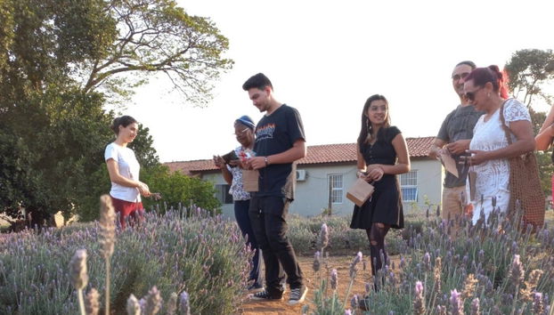 Tour privado por Holambra - Foto 3
