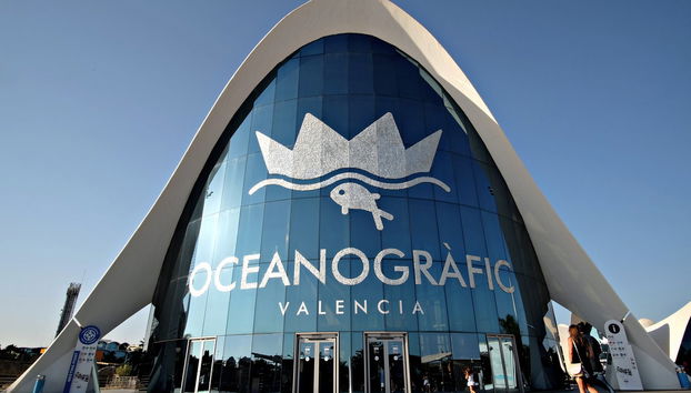 Day Trip to Valencia + Oceanogràfic & Hemisfèric - Foto 4