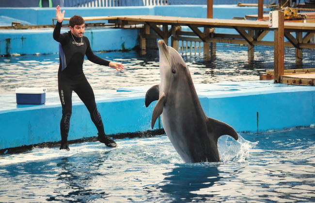 Day Trip to Valencia + Oceanogràfic & Hemisfèric - Foto 7