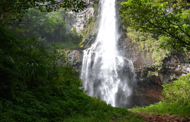 Tour del fiume Três Forquilhas in kayak - Foto 4