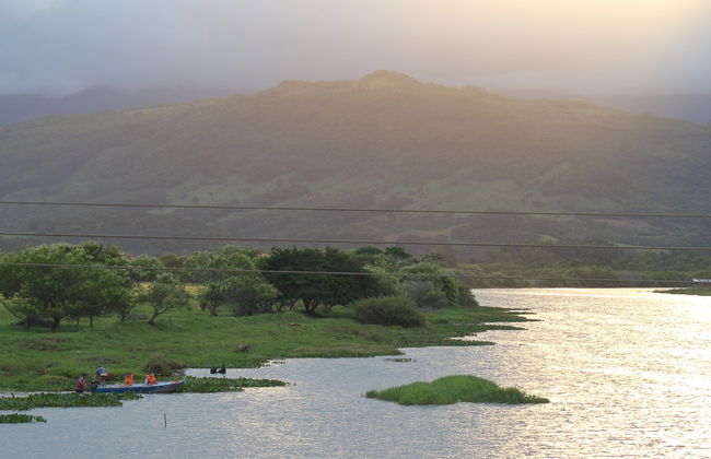 Tour del fiume Três Forquilhas in kayak - Foto 7