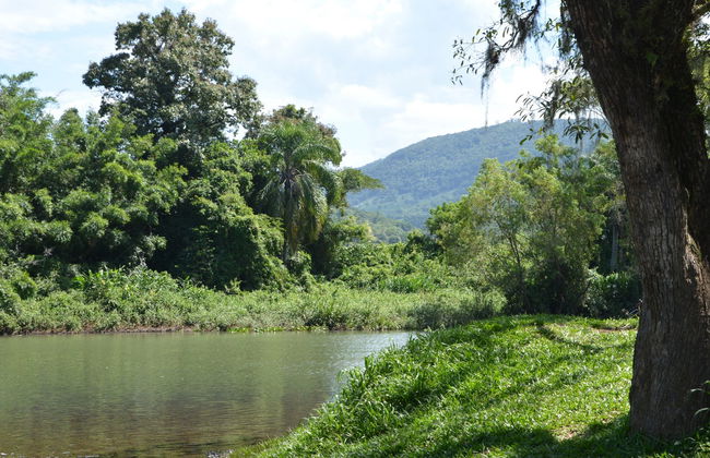 Tour del fiume Três Forquilhas in kayak - Foto 6