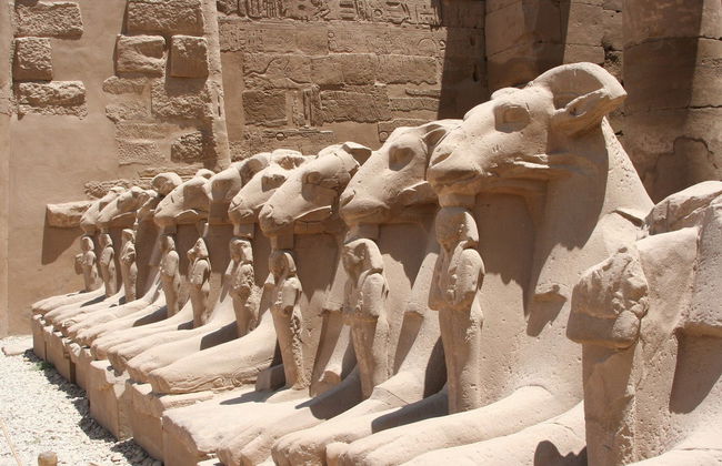 Visita guiada por el Templo de Karnak - Foto 5