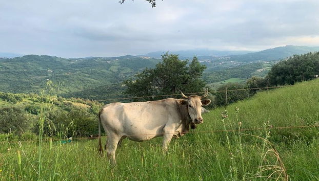 Nature of Prignano Cilento