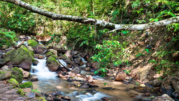 Chanchamayo Valley Tour - Photo 2