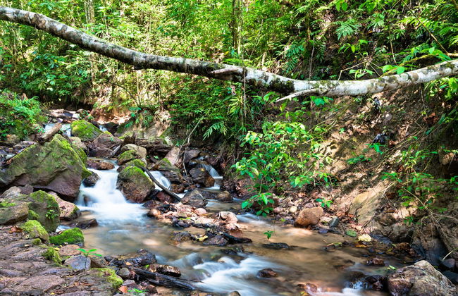 Chanchamayo Valley Tour - Photo 2