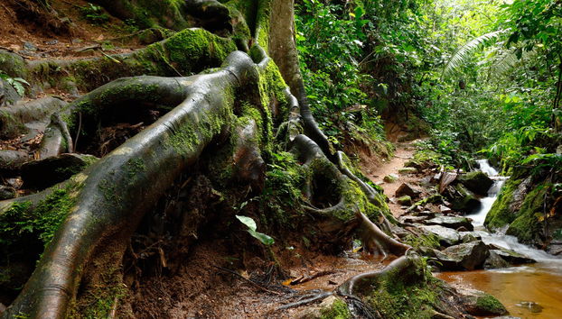 Chanchamayo Valley Tour - Photo 5