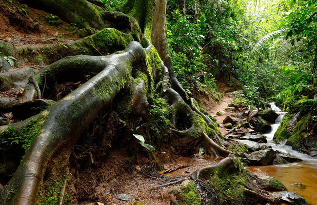 Chanchamayo Valley Tour - Photo 5