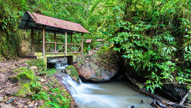 Chanchamayo Valley Tour - Photo 3