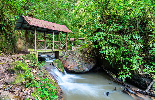 Chanchamayo Valley Tour - Photo 3