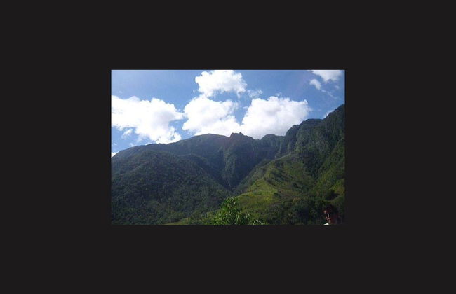 Tour por el valle del Perené y cataratas de Chanchamayo - Foto 4