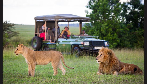 Safari de 10 jours à travers le meilleur de la Zambie - Photo 2
