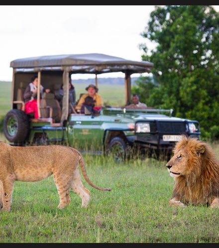 Foto de Safari de 10 días por lo mejor de Zambia