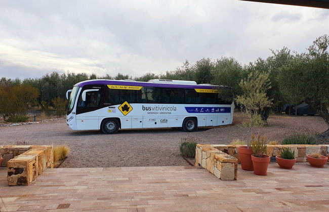 Malbec Tour of the Luján de Cuyo Wine Region - Photo 7