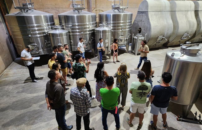Malbec Tour of the Luján de Cuyo Wine Region - Photo 9