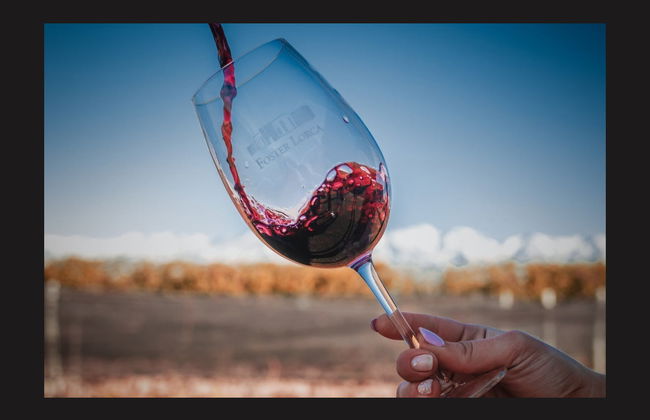 Malbec Tour of the Luján de Cuyo Wine Region - Photo 4