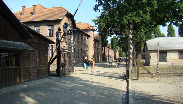 Excursión privada a Auschwitz y las Minas de Sal - Foto 2
